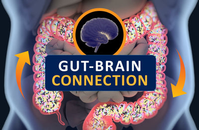 The gut brain connection is why you should meditate