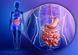 Each Year 62 Million Americans Are Diagnosed With a Digestive Disorder