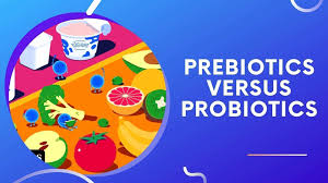 Prebiotics vs Probiotics for gut health