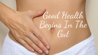 Good Health Begins in The Gut